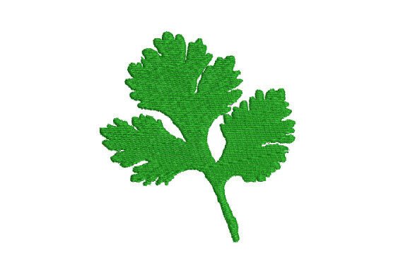 Coriander Embroidery Review